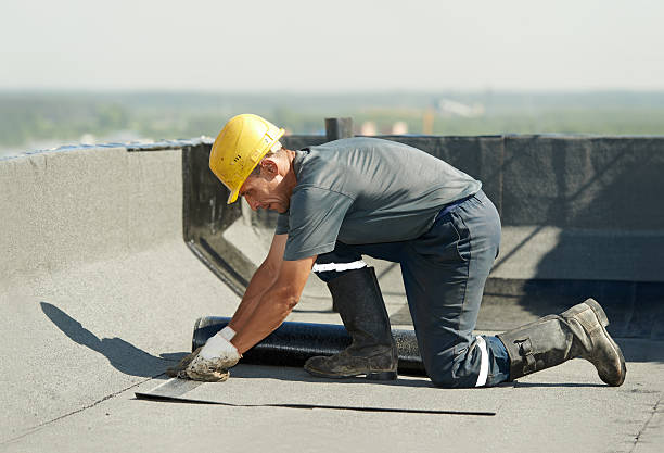 Best Home Insulation Services  in Bristol, FL