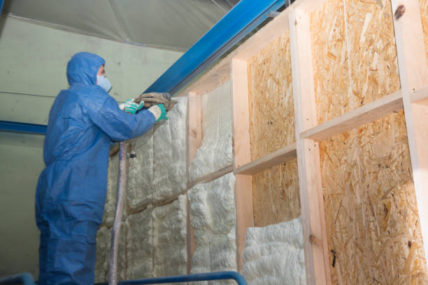 Best Professional Insulation Contractor  in Bristol, FL