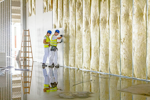 Best Insulation Removal  in Bristol, FL